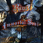 Il testo della Immortal soul Riot