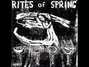 Il testo della Theme (if i started crying) Rites Of Spring