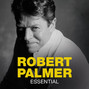 Il testo della Mess around Robert Palmer