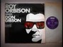 Il testo della Big hearted me Roy Orbison