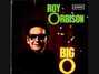 Il testo della Loving touch Roy Orbison