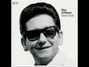 Il testo della Pantomine Roy Orbison