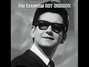 Il testo della Sweet and innocent Roy Orbison