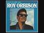 Il testo della Two of a kind Roy Orbison