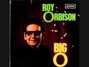 Il testo della When i stop dreaming Roy Orbison