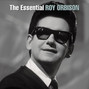 Il testo della Wild hearts run out of time Roy Orbison