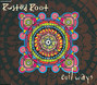 Il testo della Big white bird Rusted Root