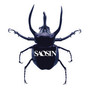 Il testo della Follow and feel Saosin