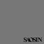 Il testo della Why can't you see Saosin