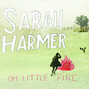 Il testo della Late bloomer Sarah Harmer