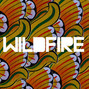 Il testo della Wildfire Sbtrkt