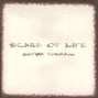Il testo della Descending Scars Of Life