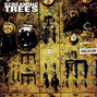 Il testo della The secret kind Screaming Trees