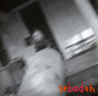 Il testo della It's so hard to fall in love Sebadoh