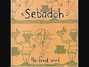 Il testo della My own religion Sebadoh