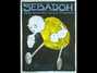Il testo della Wonderful! wonderful! Sebadoh