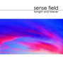 Il testo della Love song Sense Field