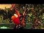 Il testo della Butterfly Sesame Street
