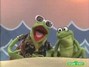 Il testo della Caribbean amphibian Sesame Street
