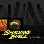 Il testo della Pain glass vision Shadows Fall