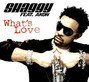 Il testo della What's love Shaggy