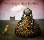 Il testo della Summer dress Shawn Colvin