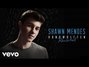 Il testo della Act like you love me Shawn Mendes
