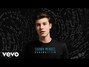 Il testo della Crazy Shawn Mendes