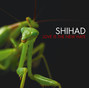 Il testo della Saddest song in the world Shihad