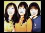 Il testo della I am a cat Shonen Knife