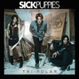 Paroles de Odd one Sick Puppies