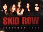 Il testo della Breakin' down [remix] Skid Row