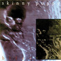 Il testo della The centre bullet Skinny Puppy