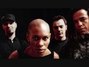 Il testo della Fragile Skunk Anansie