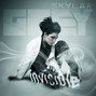 Il testo della Invisible Skylar Grey