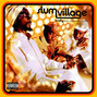 Il testo della Star (interlude) Slum Village