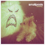 Il testo della Dreaming Smallpools
