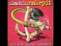 Lyrics of Take it away Snakepit