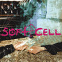 Il testo della Sensation nation Soft Cell
