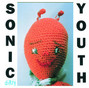 Il testo della Swimsuit issue Sonic Youth