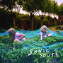 Il testo della Sympathy for the strawberry Sonic Youth