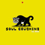 Lyrics of Maybe i'll come down Soul Coughing