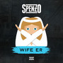 Lyrics of Wife er Spenzo
