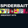 Il testo della Jesus Spiderbait