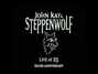 Il testo della Sign on the line Steppenwolf