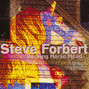 Lyrics of If i want you now Steve Forbert