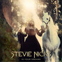 Il testo della In your dreams Stevie Nicks