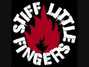 Il testo della Forensic evidence Stiff Little Fingers
