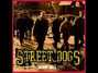Il testo della The pilgrim : chapter 33 Street Dogs