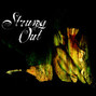 Il testo della Analog Strung Out